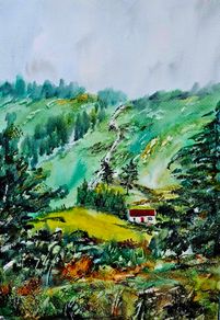 carrawaystick waterfall watercolour