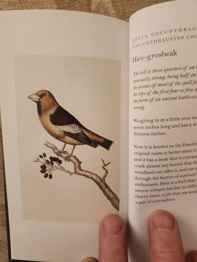 Graves Garden Birds. Selected British Garden  Birds. Beautiful Illustrated  Hardback In  Very Good Condition.