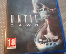 PS4 Until Dawn