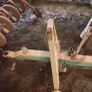 Armer Beet sower Image 4