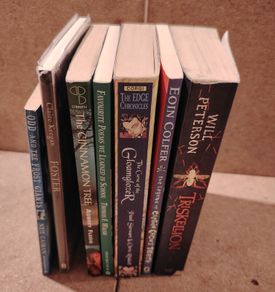 7-Book Irish Fiction, Poetry & YA School Syllabus Bundle