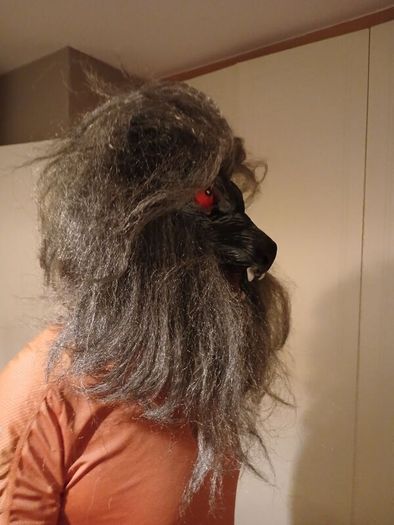 Werewolf Mask