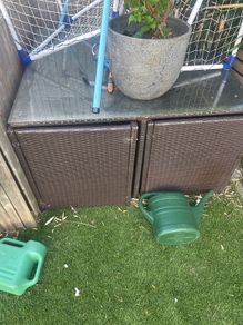 Rattan Table and Chairs