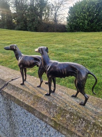 Pair of greyhounds