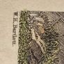 Rare Killiney Bay (County Dublin ) Print. Wallis, R Image 5