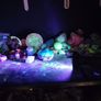 Fluorite fluorescent Image 10
