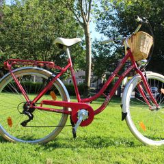 KS Cycling Verona Ladies City Bike 6 Speed New Front Tyre 28 inch wheels