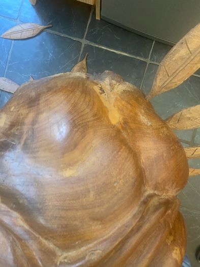 Massive mahogany head