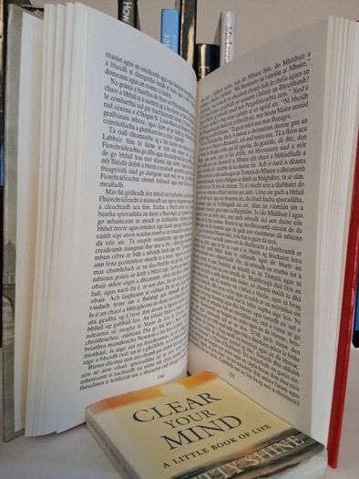 The Official Handbook of the Legion of Mary Published by Concilium Legionis Mariae, 1982  (Irish Edition) (GT105)
