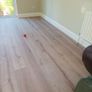 Wood Floor 12mm Image 5