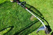strimmer