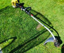 strimmer