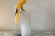 Large Hand-Carved Honey Calcite Parrot on White Quartz Pillar Base