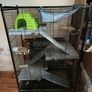 Used small pet cage/ starter kit Image 2