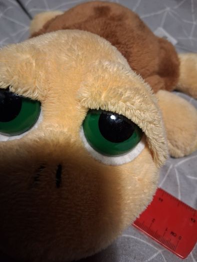 Turtle soft toy with large green eyes