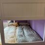 Triple bunk bed. Image 4