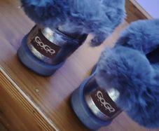 Brand new go go shoes