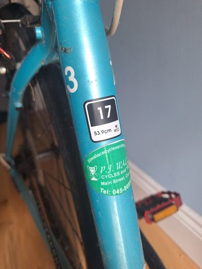 Womens Trek bike
