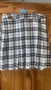 Ladies Pleated Skirt