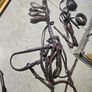 horse harness Image 8