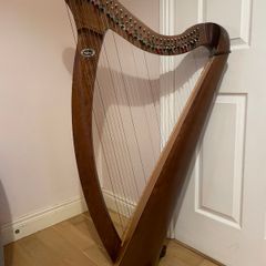 Salvi Donegal Walnut Harp