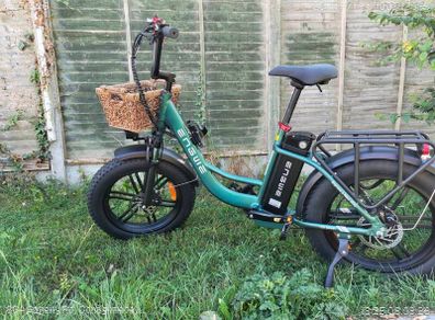 Electric Bicycle