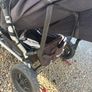 Mountain buggy duet Image 7