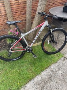 Carrera Mountain Bike silver/red