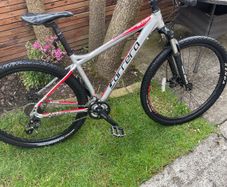Carrera Mountain Bike silver/red