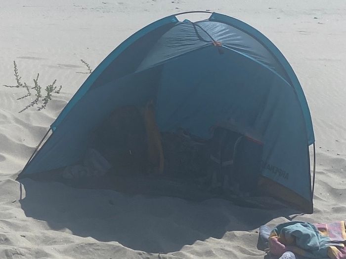 Shelter / tent