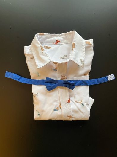 baby shirt and tie