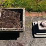 planters Image 2