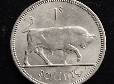 Ireland - 1966 - Shilling - Bull - UNC - KM.14a - [735]