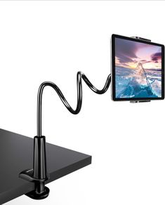 Gooseneck iPad holder x2