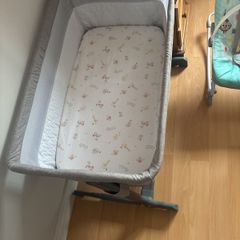 Newborn