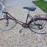 Adults Bike Image 3