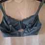 bra Image 3