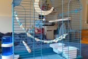New Parrot/bird Cage Starter Kit + Tons of Accessories