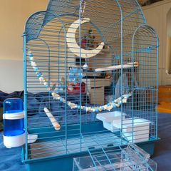 New Parrot/bird Cage Starter Kit + Tons of Accessories
