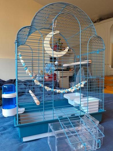New Parrot/bird Cage Starter Kit + Tons of Accessories
