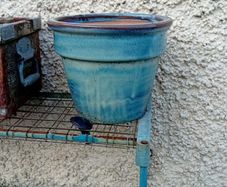 pot