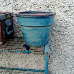 pot