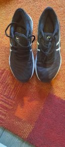 Asics Nimbus 22
