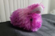 Bunny Puff Plush Plays Sound Aurora New Teddy Stuffed Animals plushies New