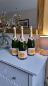 Champagne Prop Display Empty but sealed