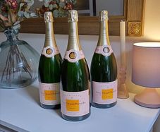 Champagne Prop Display Empty but sealed