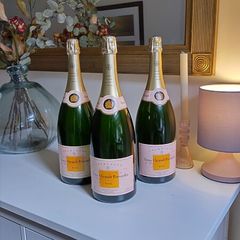 Champagne Prop Display Empty but sealed
