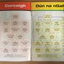 16th March 2013. GAA (Gaelic Football & Hurling) Programme. Cork V Donegal & Cork V Calire @ Pairc Ui Rinn Image 2