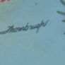 Knowles Backyard Harmony Collector Plate - 'The Singing Lesson' - Cardinal Family Image 3