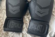 Everlast boxing gloves